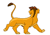 Gif animé lion marche